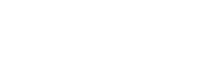sonax