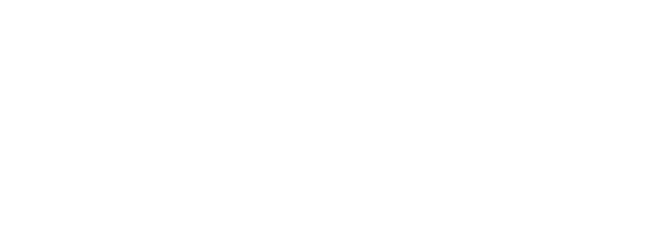 lvit-referenz