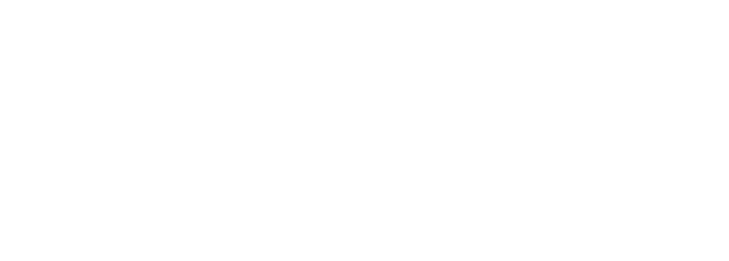 Seisenegger_Logo_Weiß5